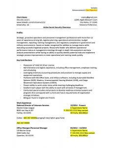 federal resume design
