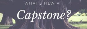 capstone new services