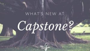 capstone new services