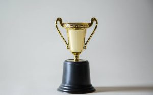 trophy image for Best Resume Writing Service 2023 Award